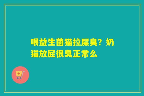 喂益生菌猫拉屎臭？奶猫放屁很臭正常么
