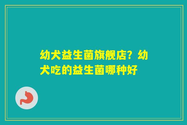幼犬益生菌旗舰店？幼犬吃的益生菌哪种好
