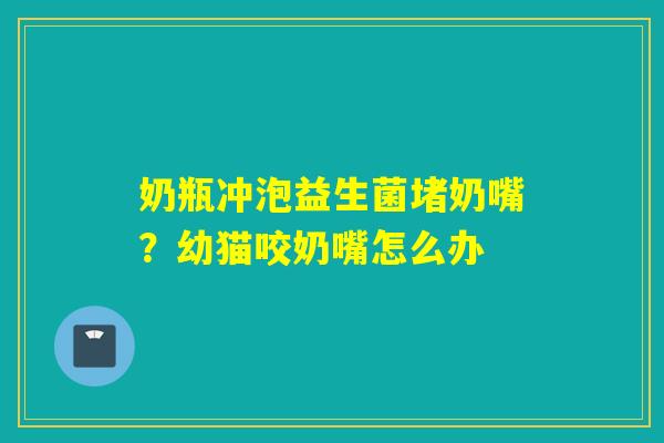 奶瓶冲泡益生菌堵奶嘴？幼猫咬奶嘴怎么办