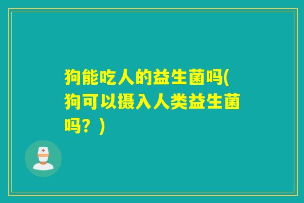 狗能吃人的益生菌吗(狗可以摄入人类益生菌吗？)