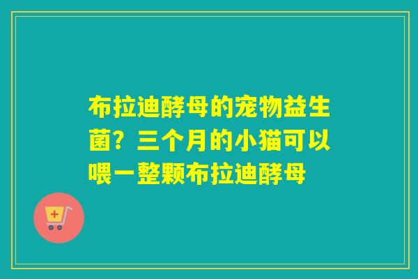 布拉迪酵母的宠物益生菌？三个月的小猫可以喂一整颗布拉迪酵母
