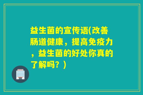 益生菌的宣传语(改善肠道健康，提高力，益生菌的好处你真的了解吗？)