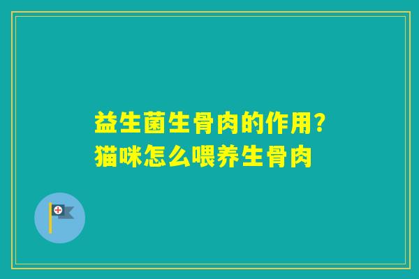 益生菌生骨肉的作用?猫咪怎么喂养生骨肉 益生菌生骨肉的作用?猫咪怎么喂养生骨肉