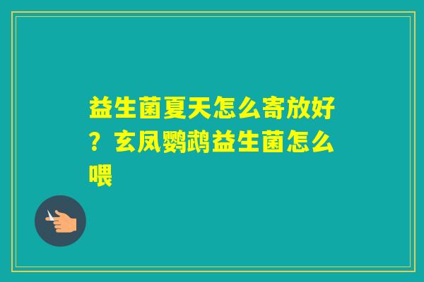 益生菌夏天怎么寄放好？玄凤鹦鹉益生菌怎么喂
