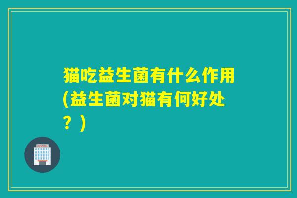 猫吃益生菌有什么作用(益生菌对猫有何好处?) 猫吃益生菌有什么作用(益生菌对猫有何好处?)