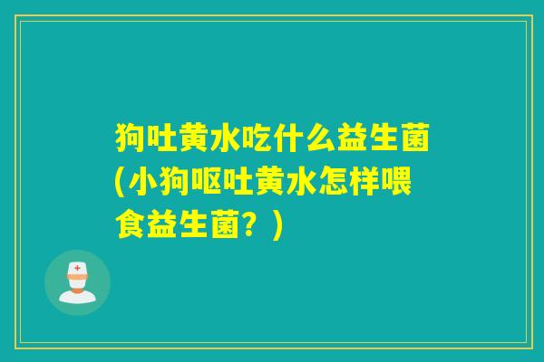 狗吐黄水吃什么益生菌(小狗黄水怎样喂食益生菌?) 狗吐黄水吃什么益生菌(小狗黄水怎样喂食益生菌?)