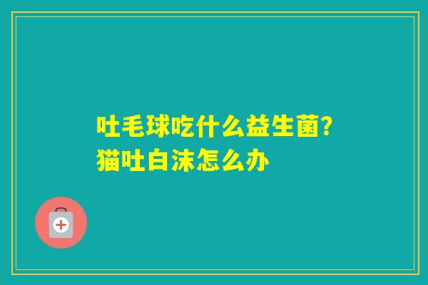 吐毛球吃什么益生菌?猫吐白沫怎么办 吐毛球吃什么益生菌?猫吐白沫怎么办