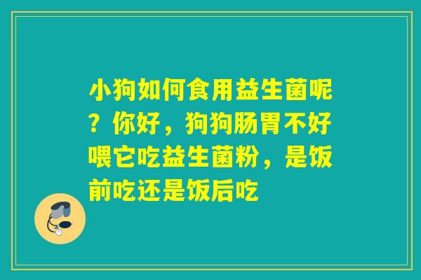 小狗如何食用益生菌呢？你好，狗狗肠胃不好喂它吃益生菌粉，是饭前吃还是饭后吃