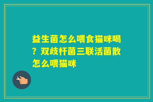 益生菌怎么喂食猫咪喝？双歧杆菌三联活菌散怎么喂猫咪