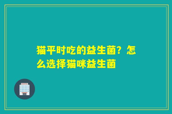 猫平时吃的益生菌？怎么选择猫咪益生菌