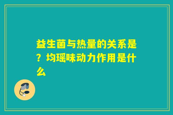 益生菌与热量的关系是？均瑶味动力作用是什么