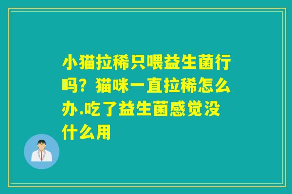 小猫拉稀只喂益生菌行吗？猫咪一直拉稀怎么办.吃了益生菌感觉没什么用