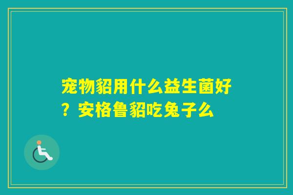 宠物貂用什么益生菌好？安格鲁貂吃兔子么