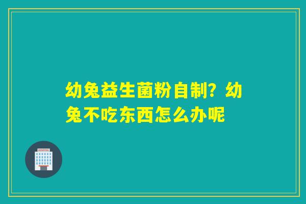 幼兔益生菌粉自制？幼兔不吃东西怎么办呢