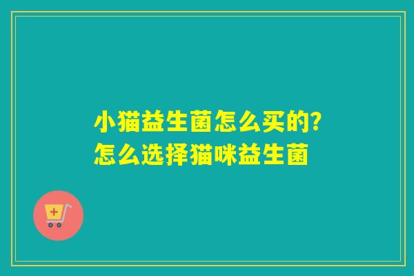 小猫益生菌怎么买的?怎么选择猫咪益生菌 小猫益生菌怎么买的?怎么选择猫咪益生菌