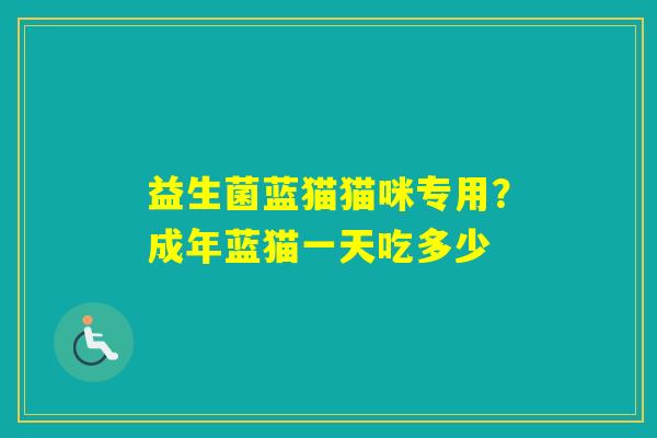 益生菌蓝猫猫咪专用？成年蓝猫一天吃多少