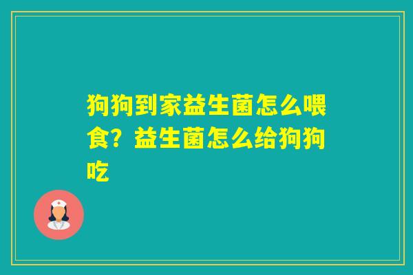 狗狗到家益生菌怎么喂食？益生菌怎么给狗狗吃