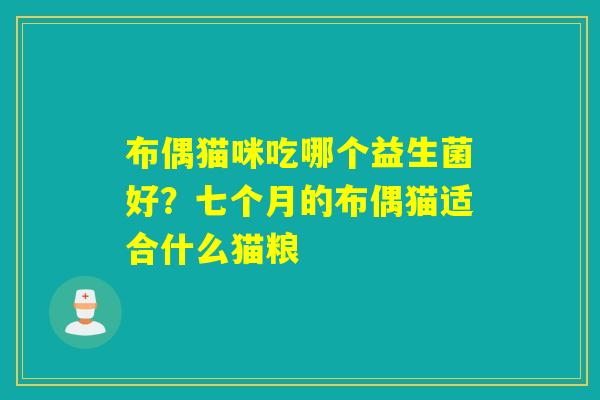 布偶猫咪吃哪个益生菌好?七个月的布偶猫适合什么猫粮 布偶猫咪吃哪个益生菌好?七个月的布偶猫适合什么猫粮