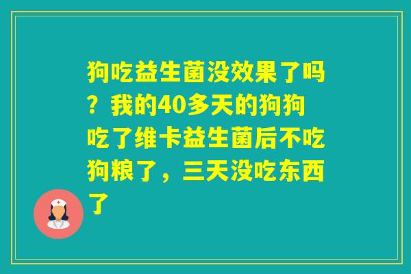 狗吃益生菌没效果了吗？我的40多天的狗狗吃了维卡益生菌后不吃狗粮了，三天没吃东西了