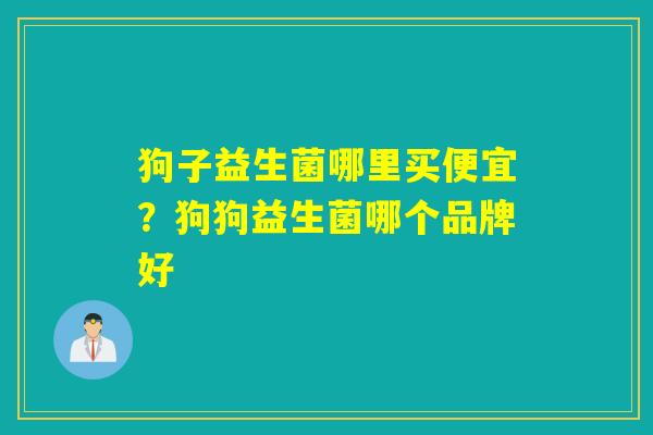 狗子益生菌哪里买便宜？狗狗益生菌哪个品牌好
