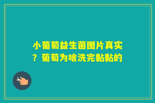 小葡萄益生菌图片真实?葡萄为啥洗完黏黏的 小葡萄益生菌图片真实?葡萄为啥洗完黏黏的