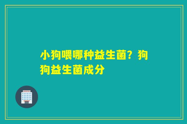 小狗喂哪种益生菌?狗狗益生菌成分 小狗喂哪种益生菌?狗狗益生菌成分