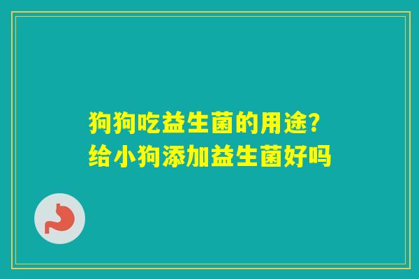 狗狗吃益生菌的用途?给小狗添加益生菌好吗 狗狗吃益生菌的用途?给小狗添加益生菌好吗