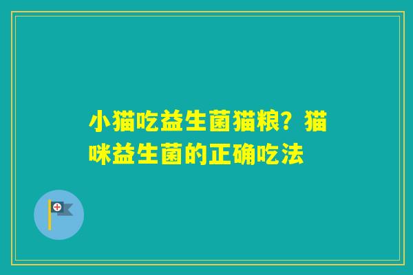 小猫吃益生菌猫粮？猫咪益生菌的正确吃法