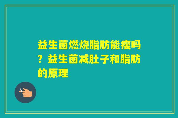 益生菌燃烧脂肪能瘦吗?益生菌减肚子和脂肪的原理 益生菌燃烧脂肪能瘦吗?益生菌减肚子和脂肪的原理