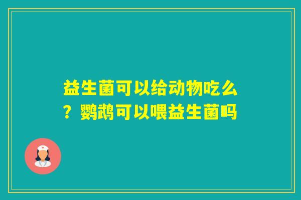 益生菌可以给动物吃么?鹦鹉可以喂益生菌吗 益生菌可以给动物吃么?鹦鹉可以喂益生菌吗