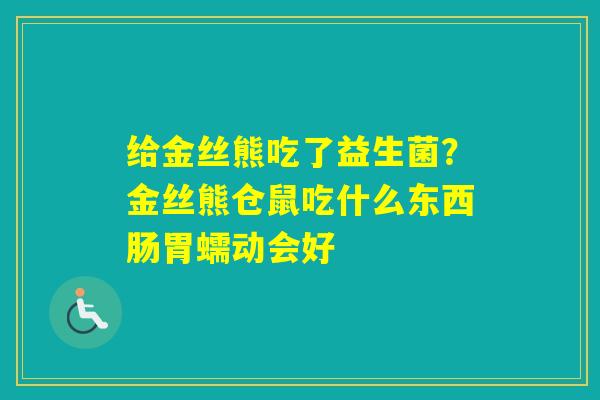 给金丝熊吃了益生菌？金丝熊仓鼠吃什么东西肠胃蠕动会好