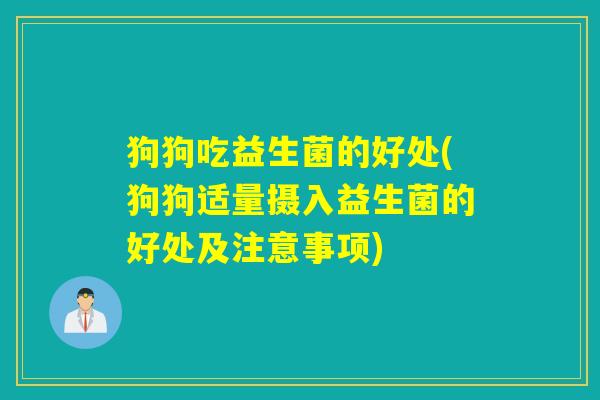 狗狗吃益生菌的好处(狗狗适量摄入益生菌的好处及注意事项)