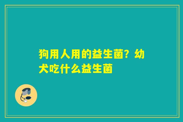 狗用人用的益生菌?幼犬吃什么益生菌 狗用人用的益生菌?幼犬吃什么益生菌