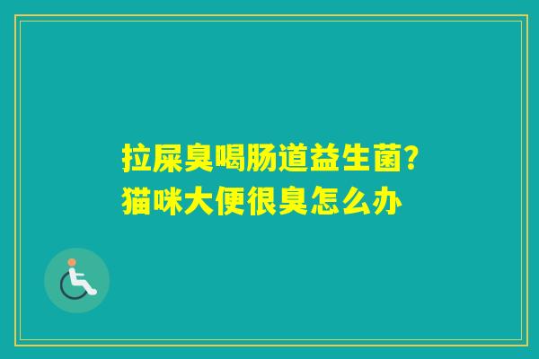 拉屎臭喝肠道益生菌？猫咪大便很臭怎么办