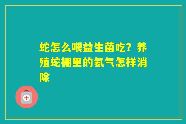 蛇怎么喂益生菌吃？养殖蛇棚里的氨气怎样消除
