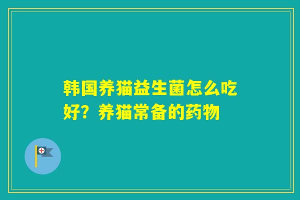 韩国养猫益生菌怎么吃好？养猫常备的