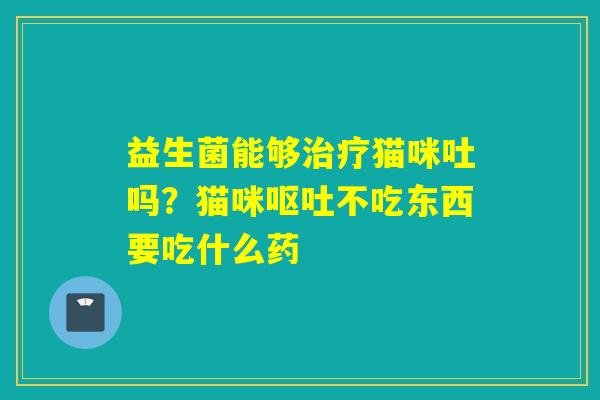 益生菌能够猫咪吐吗？猫咪不吃东西要吃什么药