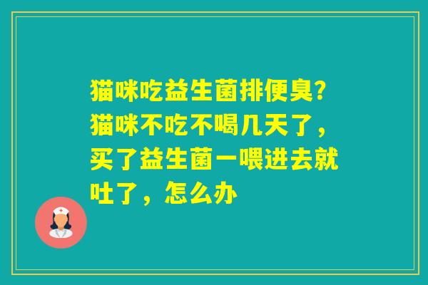 猫咪吃益生菌排便臭？猫咪不吃不喝几天了，买了益生菌一喂进去就吐了，怎么办