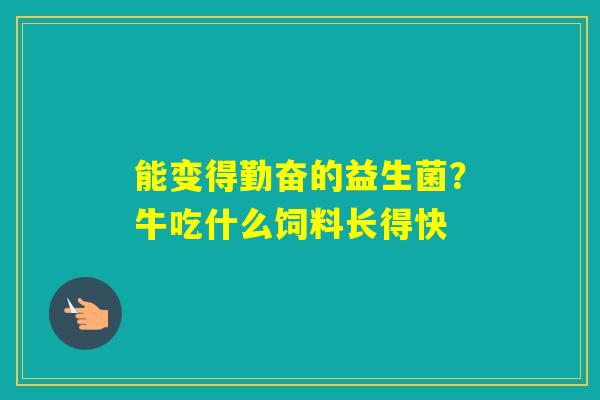 能变得勤奋的益生菌？牛吃什么饲料长得快