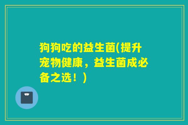狗狗吃的益生菌(提升宠物健康，益生菌成必备之选！)