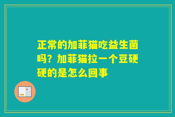 正常的加菲猫吃益生菌吗?加菲猫拉一个豆硬硬的是怎么回事 正常的加菲猫吃益生菌吗?加菲猫拉一个豆硬硬的是怎么回事