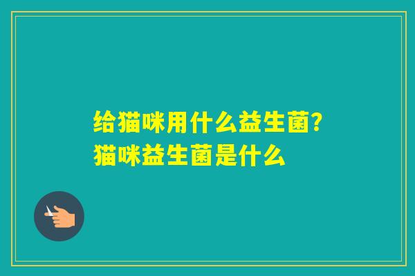 给猫咪用什么益生菌？猫咪益生菌是什么