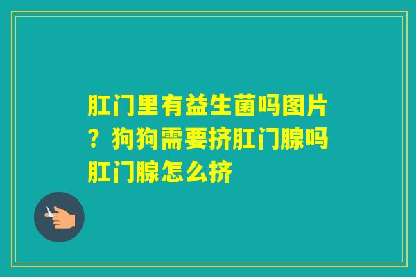 肛门里有益生菌吗图片？狗狗需要挤肛门腺吗肛门腺怎么挤