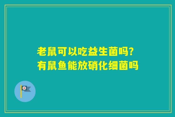老鼠可以吃益生菌吗？有鼠鱼能放硝化吗