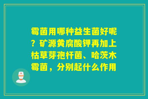 霉菌用哪种益生菌好呢？矿源黄腐酸钾再加上枯草芽孢杆菌、哈茨木霉菌，分别起什么作用