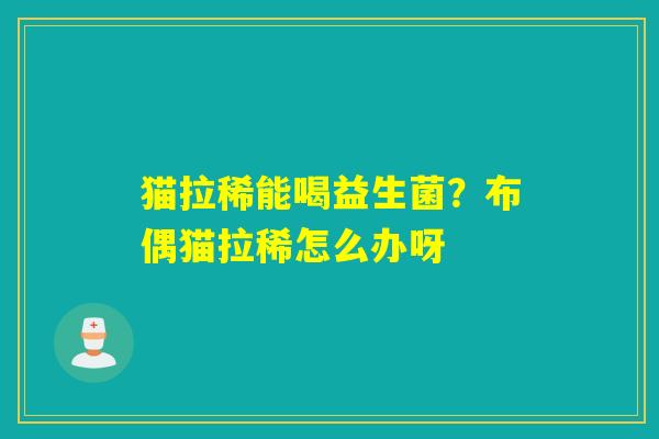 猫拉稀能喝益生菌？布偶猫拉稀怎么办呀