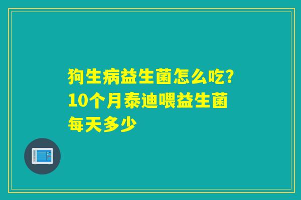 狗生益生菌怎么吃?10个月泰迪喂益生菌每天多少 狗生益生菌怎么吃?10个月泰迪喂益生菌每天多少