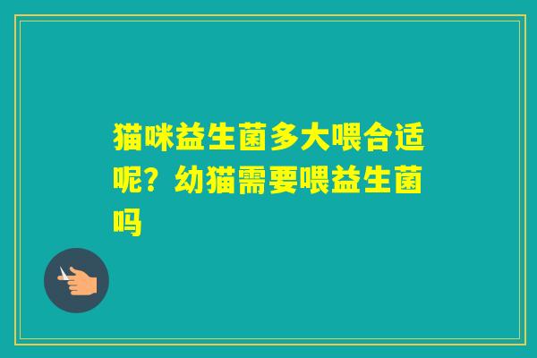 猫咪益生菌多大喂合适呢？幼猫需要喂益生菌吗