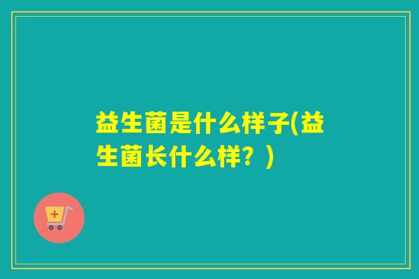 益生菌是什么样子(益生菌长什么样?) 益生菌是什么样子(益生菌长什么样?)