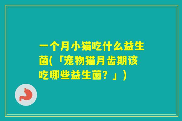 一个月小猫吃什么益生菌(「宠物猫月齿期该吃哪些益生菌？」)